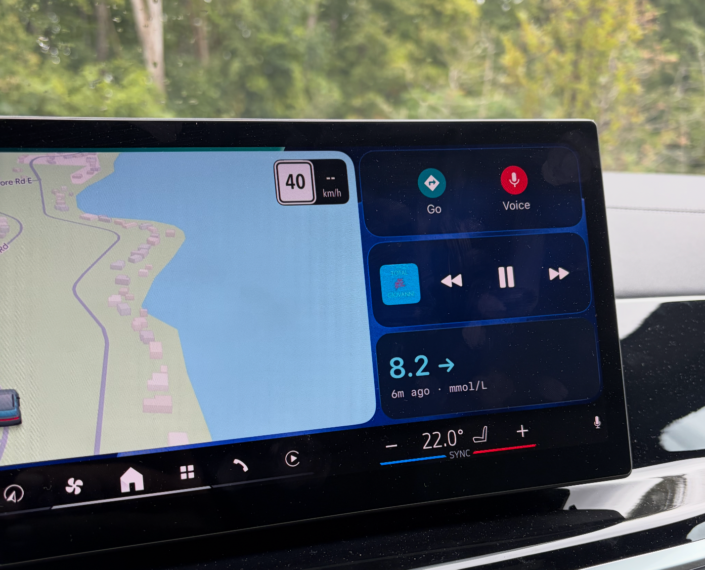 Nightscout Follow Live View beside the map in CarPlay